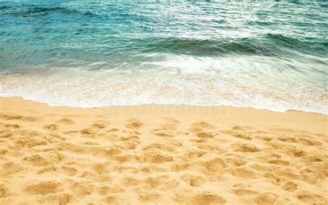 Sandy Beach And Ocean Water Edge Stock Image Image Of Tropical