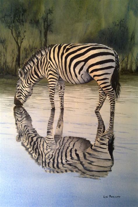 Secret life of zebras watch video to uncover their fascinating facts