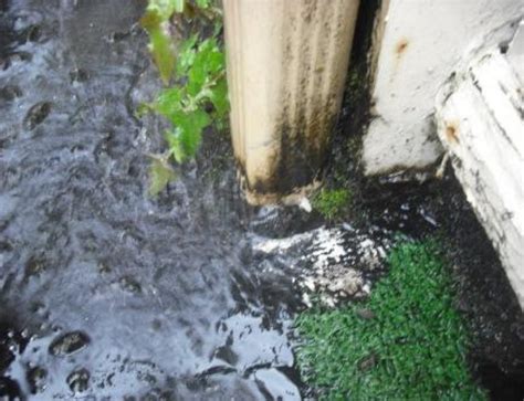 Maybe you would like to learn more about one of these? How Important Is Gutter Cleaning? | All Surface Cleaning ...