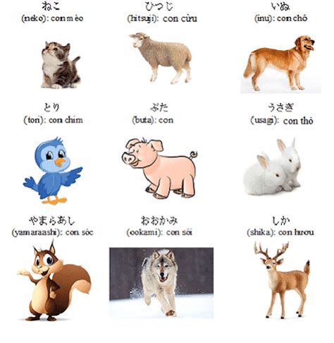 Từ vựng Tiếng Nhật về các loài vật