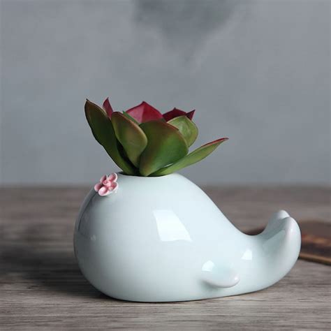 Ceramic Dolphin Planter Water Planting Pots For By Marukococo