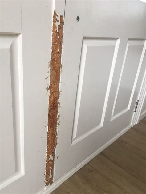 Shop wayfair for all the best corner cabinets & chests. How To Fix Chewed Wall Corners | Ourcornerstudio