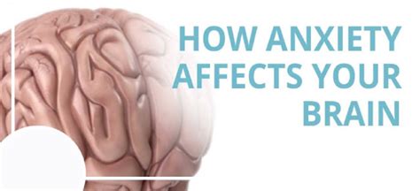 what is stress how anxiety affects the brain