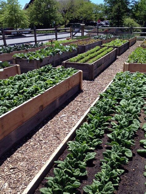Frequently asked questions about raised garden beds. large vegetable garden ideas Vegetable garden ideas ...