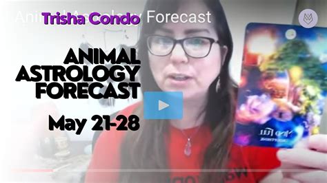Uncover Your Animal Astrology Forecast and Unlock Surprising