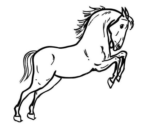 Maybe you would like to learn more about one of these? Disegni da colorare di animali della fattoria | Disegni da ...