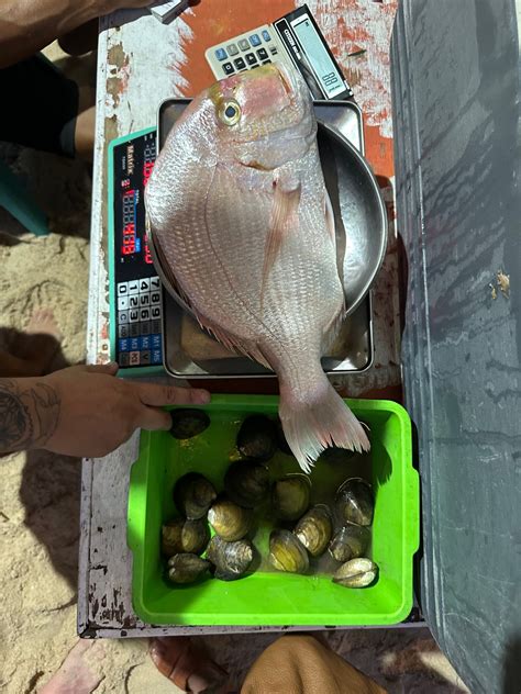 My Bali Bukit Uluwatu Food Guide — Magdalena Roze