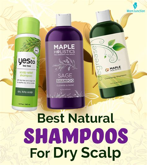 10 Best Natural Shampoos For Dry Scalp 2023 As Per Expert