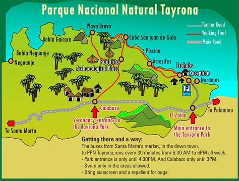 The Ultimate Guide To Visiting Tayrona National Park Road Affair