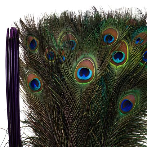 12 Colors Peacock Eye Feathers 8 15” 5 To 100 Pieces
