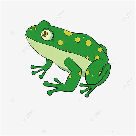 Spotted Frog Clipart Hd Png Yellow Spotted Cartoon Frog Clipart Frog