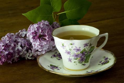 Spring Tea Cup And Lilacs Stock Photo Image Of Birthday 14338966