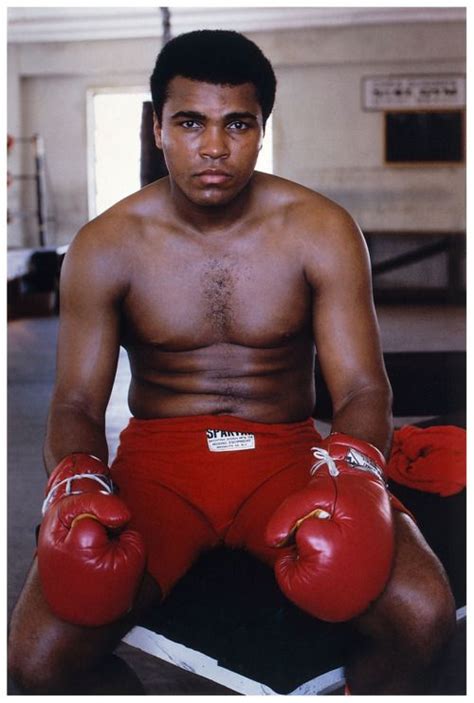 Cassius Clayaka Muhammad Ali January 17 1942 Boxing Gold