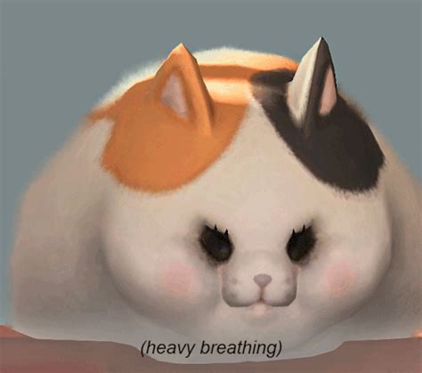 Heavy Breath Cat Tumblr