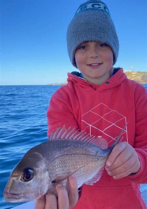 Covid 19 Nsw Lockdown Fishing Questions Answered Narooma News