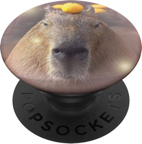 Amazon.com: Cute Capybara With Orange on Head PopSockets Grip and Stand
