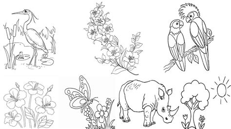 Sketsa 80 Gambar Flora Dan Fauna Serta Penjelasannya Gambar Lukisan Riset