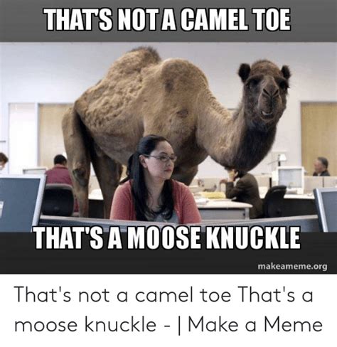 A moose knuckle is a camel toe's fat cousin. THATS NOTA CAMEL TOE THAT'S a MOOSE KNUCKLE Makeamemeorg ...