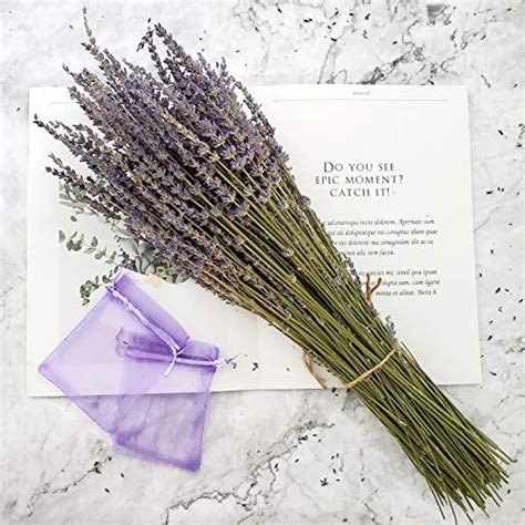 Trvancat Dried Lavender Bundles Total 250 Stems 100 Natural Lavender