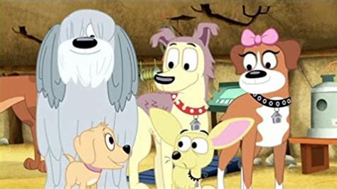 A group of pound dogs make it their mission to place puppies with their perfect person. Pound Puppies (TV Series 2010-2013) - IMDb