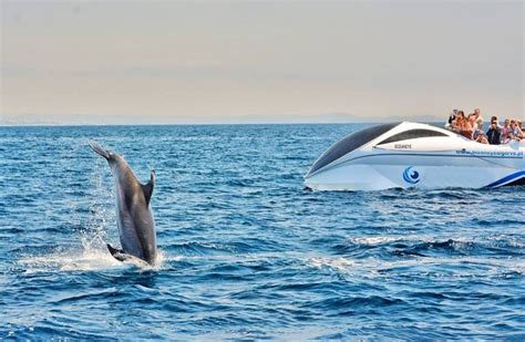 Dolphin And Benagil Tour From Albufeira Boat Tours Dolphins Tours