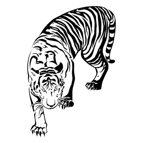 Tribal Tiger Drawing Tattoo