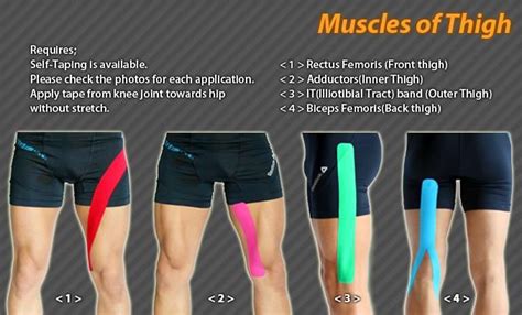 The peroneal tendons are in the feet and provide balance and stability during movement. Muscle of Thigh #Ares #Tape #Taping #Kinesiology ...