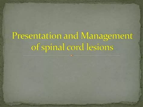 Ppt Presentation And Management Of Spinal Cord Lesions Powerpoint