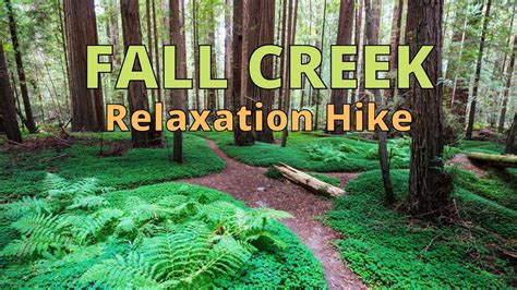 Bay Area Hiking Trails A Peaceful Virtual Hike In The Fall Creek Unit