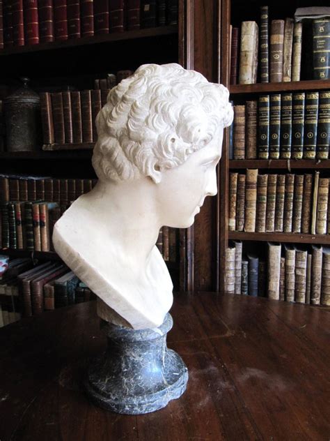 Antique Carraras Marble Male Bust For Sale At 1stdibs
