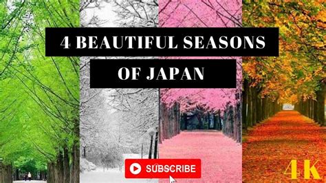 ⛩️ 4 Beautiful Seasons Of Japan 🍁autumn 🌱spring ️ Winter ⛅ Summer Youtube