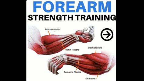 Forearm Strength Training Program Wrist Joint Strengthening Wrist