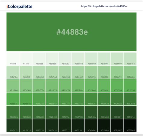 Pantone 7741 C Color | Hex color Code #44883E information | Hsl | Rgb ...