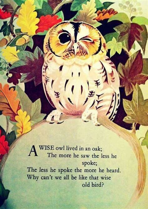 Pin By Misty Davison On Quotes Owl Quotes Wise Owl Owl