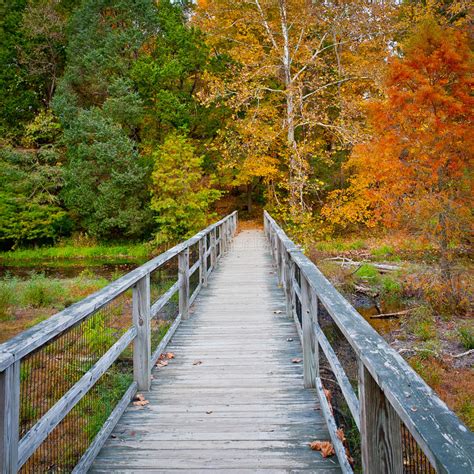 Bridge In Autumn Forest Stock Image Image Of Fall Path 32916519