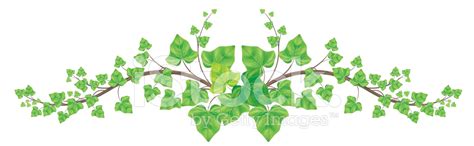 Green Ivy Vine Border Stock Vector