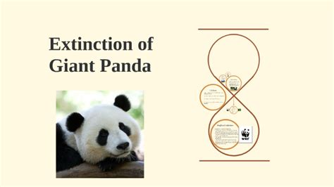 Extinction Of Giant Panda By Josh Brooks On Prezi