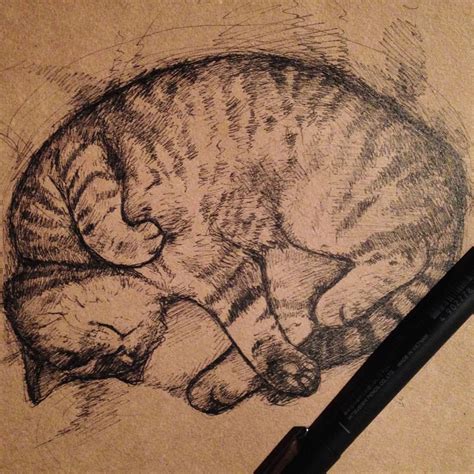 18 Cat Drawings Art Ideas Sketches Design Trends