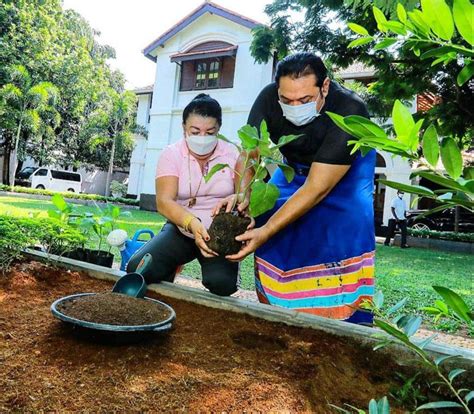 Home Garden Challenge Taking Off In Sri Lanka Leaf Blogazine