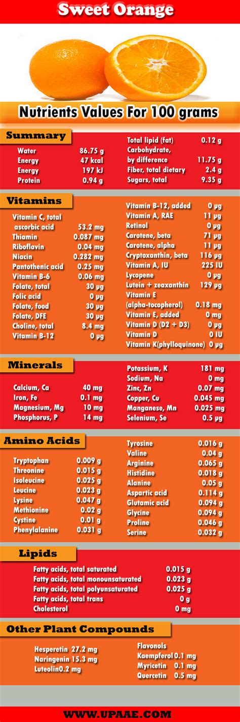 Orange Nutrition Facts History And Its Originfood Facts