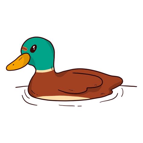 Cute Drake Duck Wild Duck Beak Water Swimming Flat Transparent Png