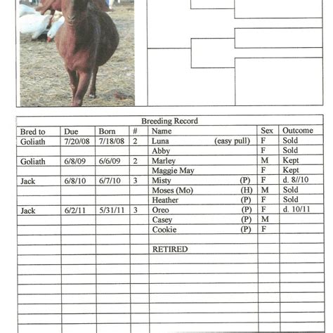 Farm Expenses Spreadsheet For Spreadsheets For Farm Record Keeping And