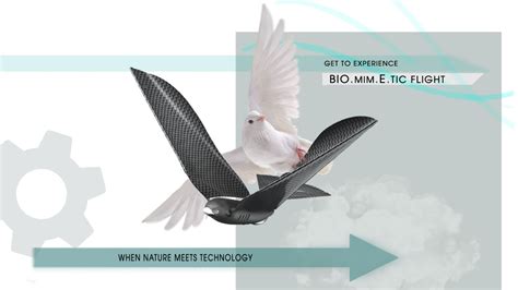 Bionic Bird Biomimetic Drones Fly It With A Smartphone Or A Joystick