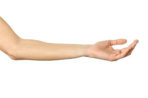 Mão feminina estendida mão da mulher com manicure francesa gesticulando isolado no fundo branco