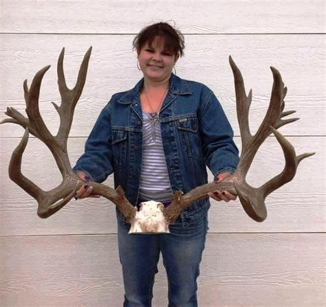 Antlers Of 253 Inch Colorado Mule Deer Appear For First Time — The