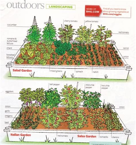 Pin By Erin On Home Outdoor Small Garden Layout Vegetable Garden