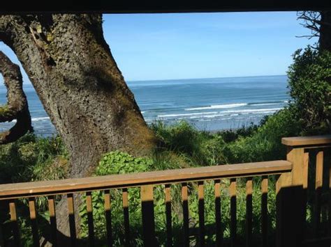 Iron springs resort 3707 state route 109 copalis beach, wa 98535. View from cabin #2 - Picture of Iron Springs Resort ...