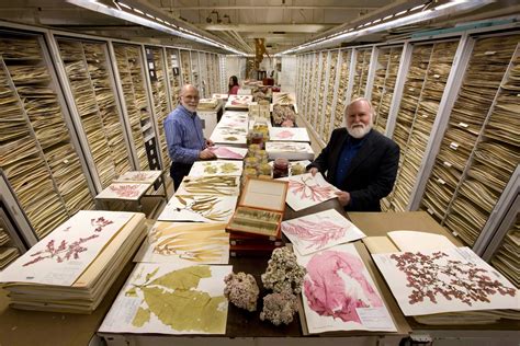 12 Amazing Photos Of The Smithsonians Secret Collections