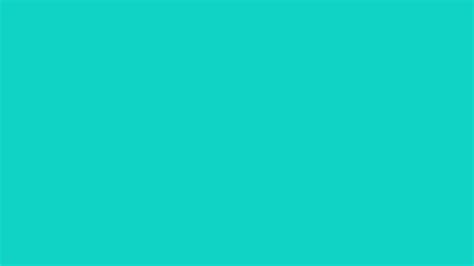 Hex Color Code 10d3c6 Bright Turquoise Color Information Hsl Rgb