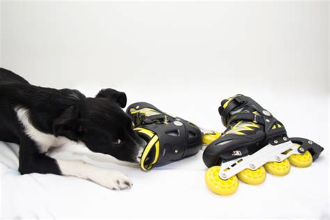 Az északi féltekén a nyári napfordulóig a nap délről északra halad. Június 21. - miről nevezetes? | Startlap Wiki